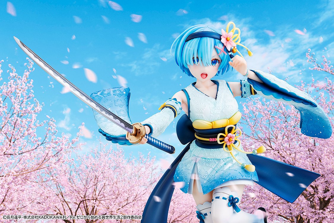 Rem combat outfit
