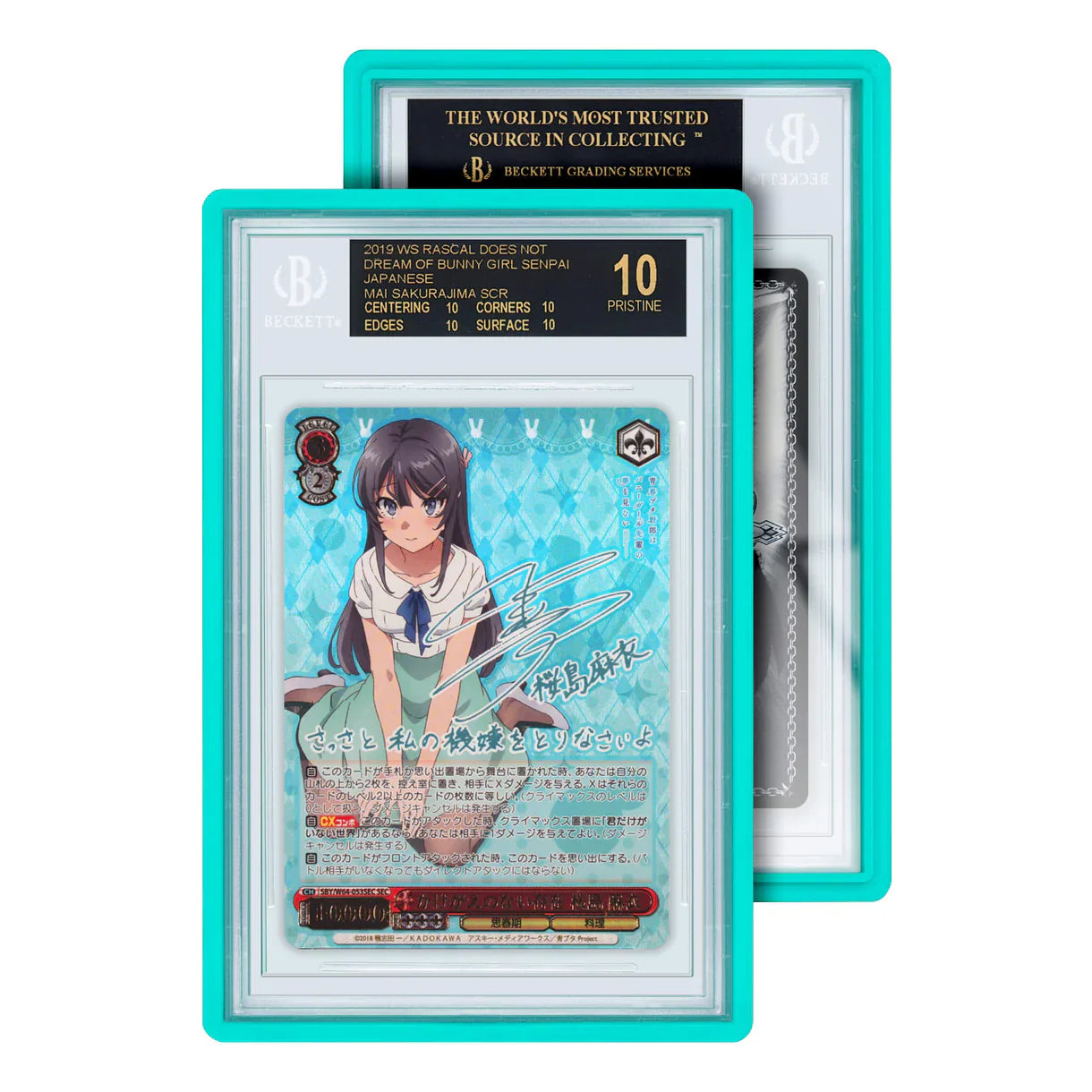 GradedGuard BGS Card Slab Protector Case